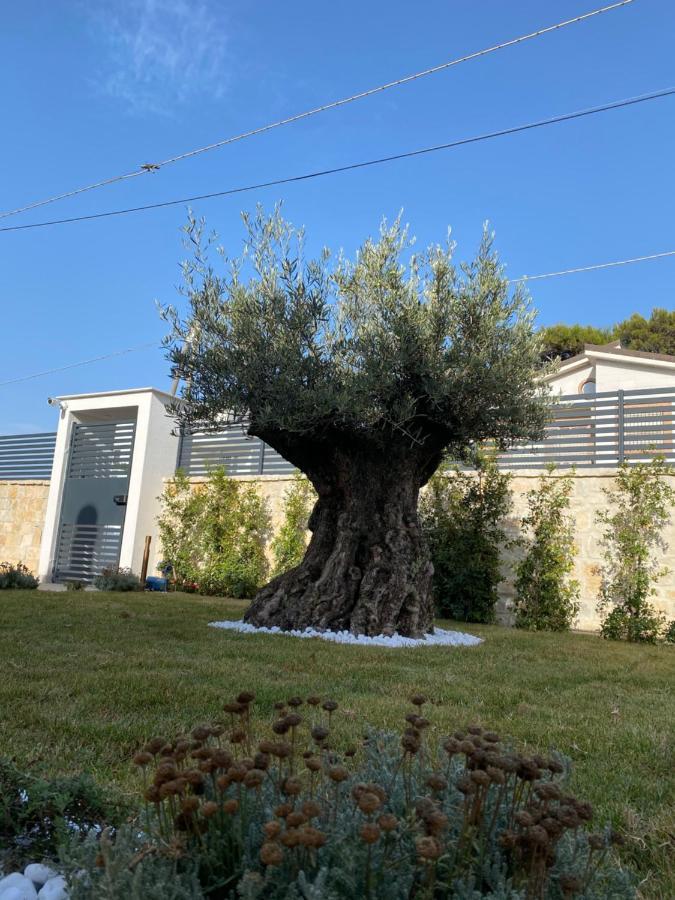 Villa Palladino Rooms Giovinazzo Esterno foto